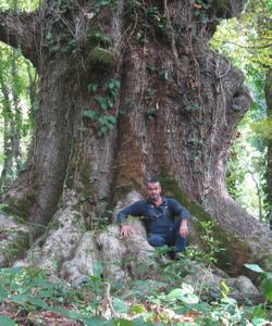 Прогулка с друидом