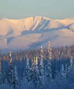 Тур на Кольский