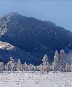 Зимний тур на Алтай