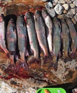 Рыбалка на Байкале