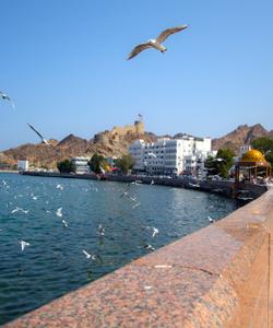 Оманский залив 