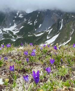 Поход по Карачаево-Черкесии