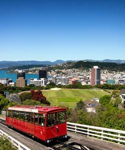 Веллингтон