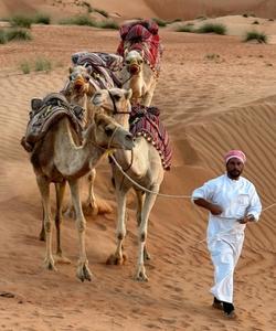 Пустыня Вахиба