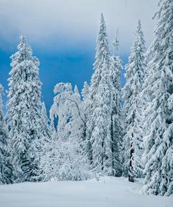 Ларкино ущелье