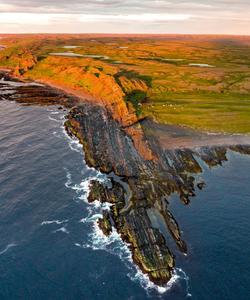 Местный пейзаж