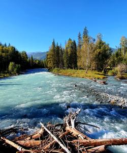 Река Катунь