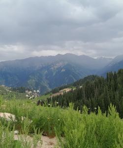 Алатау