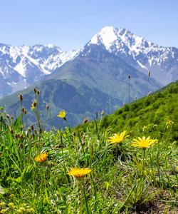 Природа Осетии