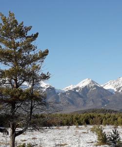 Местный пейзаж
