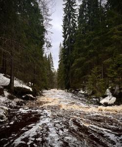 Долина водопадов, Карелия