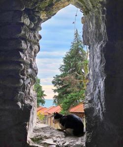 Абхазия