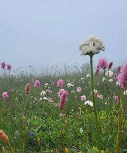 природа Кавказа