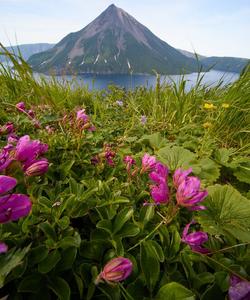 Вулкан Креницына