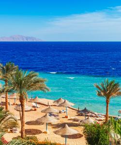 Красное море