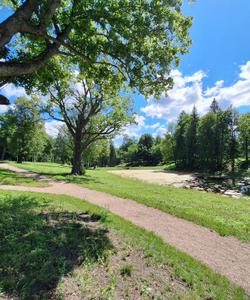 Архитектурно-этнографический музей «Василёво»