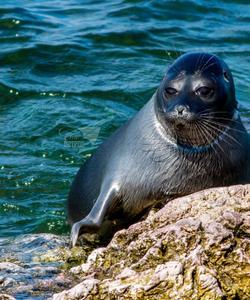 Пейзажи Байкала