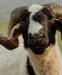 тур выходного дня в Дагестан