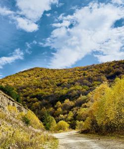 Северная Осетия