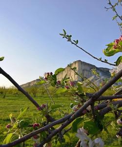 весенний тур в Крым