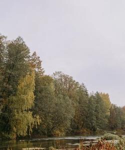 Сплав в Марий Эл