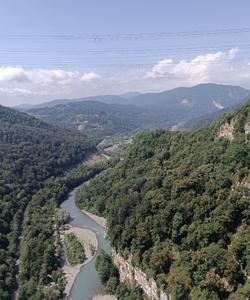 Местный пейзаж