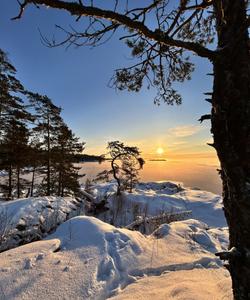Зимний пейзаж