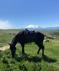 Местный пейзаж