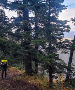 Туристический поход