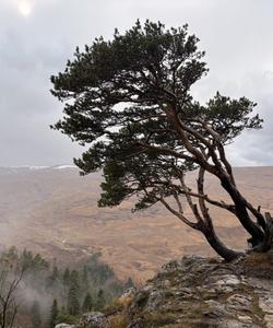 Плато Лаго-Наки