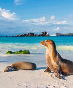 Галапагосы