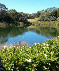 Долина Де Кафре