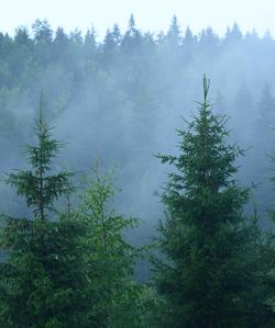 Тур в Карелию