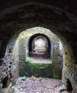 Стекольный завод, Окский заповедник