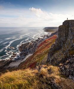 Местный пейзаж