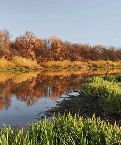 Окский биосферный заповедник