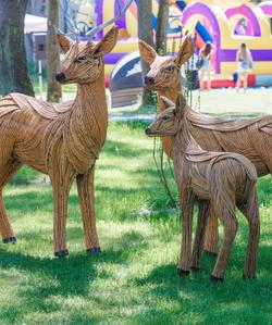 Тур в Калининград