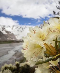 Поход в Приэльбрусье