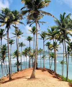 Индийский океан