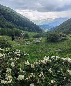 Треккинг в Архызе