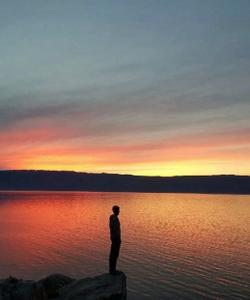 Местный пейзаж