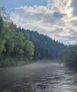 Сплав по реке Вишера