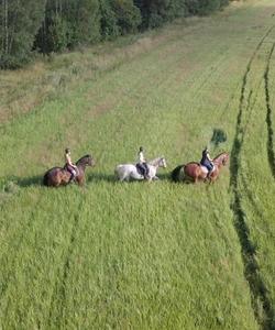 Тур по Рязанской области