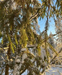 Зимний тур в Карелию