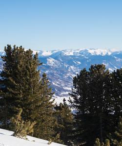 Снегоходный тур