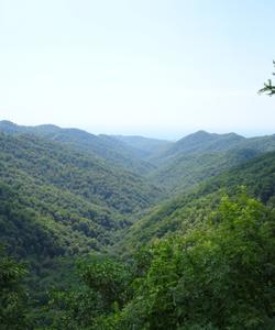 Лазаревский район Сочи