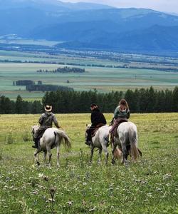 Конная прогулка по Уймонской долине 