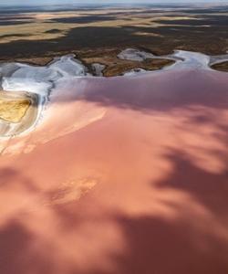 розовое озеро в Калмыкии