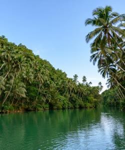 Река на острове Бохоль