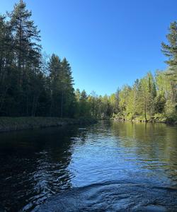 природа Марий Эл